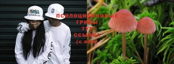 молекула духа Абаза