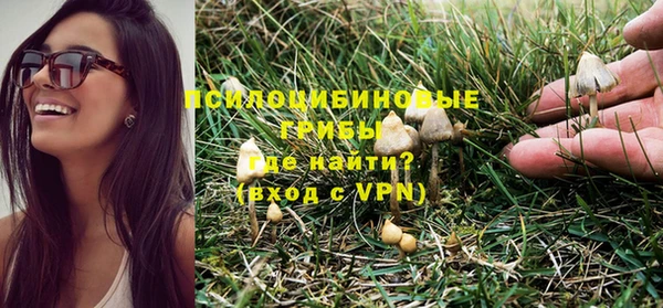 первитин Абинск