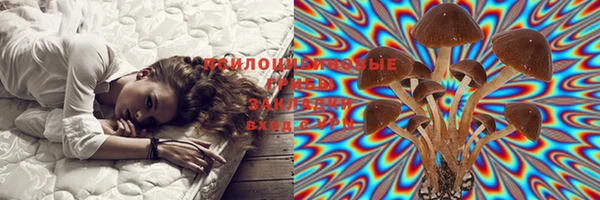 первитин Абинск