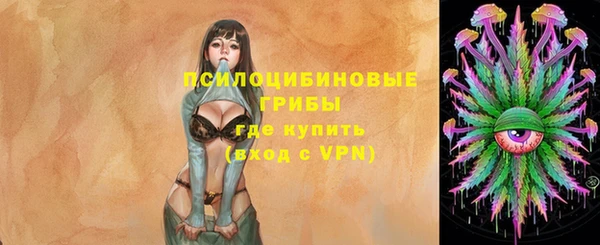 мяу мяу мука Абдулино
