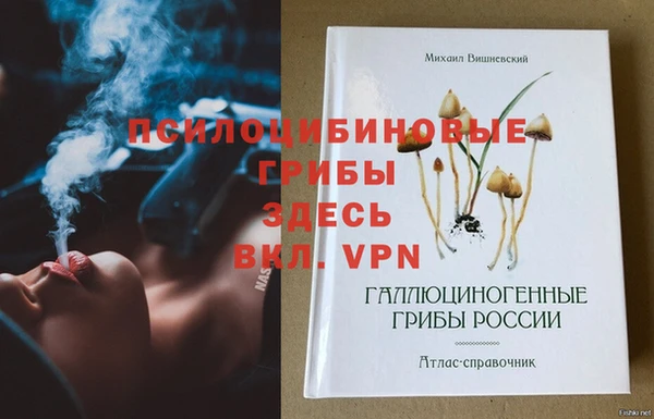 первитин Абинск