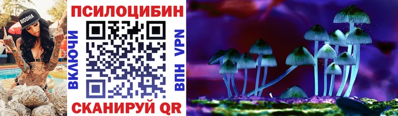 Псилоцибиновые грибы GOLDEN TEACHER Мостовской